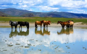 Voyage : la Mongolie supprime le visa pour 3 ans