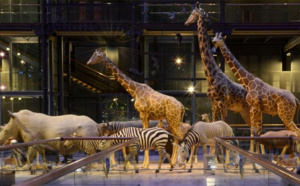 Le Muséum d’Histoire naturelle a accueilli près de 4 millions de visiteurs en 2014