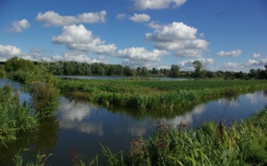 Immersion en pays de Saint-Omer