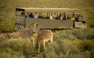 Uber Safari : découvrez le Big Five avec... Uber !