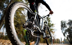 La Vélodyssée, premier itinéraire cyclable français certifié EuroVelo® 