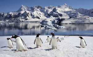 Le rêve de l’Antarctique des passagers d'une croisière de luxe tourne court 