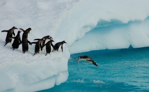 Le SH Diana reprend la route de l'Antarctique