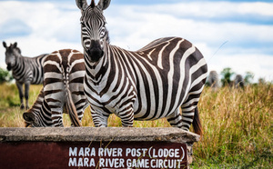 Formation et accompagnement pratique pour mieux vendre la Tanzanie avec Tanganyika Expeditions