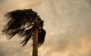 Menace de cyclone : prévisions et impacts pour Maurice et La Réunion