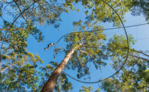 Vosges : le parc Bol d'Air ouvre la première tyrolienne à virages de France !