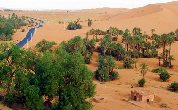 Grand sud : l'Algérie saharienne aux portes des mégapoles françaises