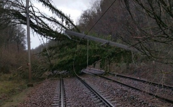 Tempête Eleanor : les trafics RER, SNFC, et aérien fortement perturbés