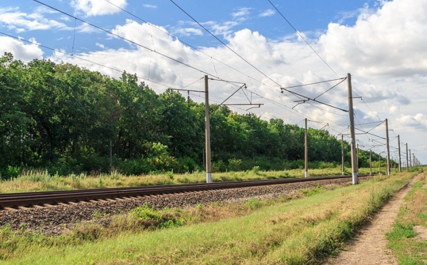 La case de l’Oncle Dom : SNCF, primes et allocations dignes d’un inventaire à la Prévert !