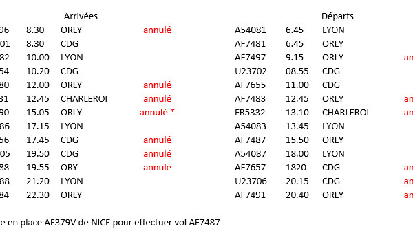 Grève : 13 vols annulés à Biarritz le 22 mars