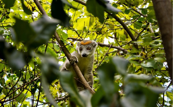 Eductour dans l'Océan Indien : des places encore disponibles...