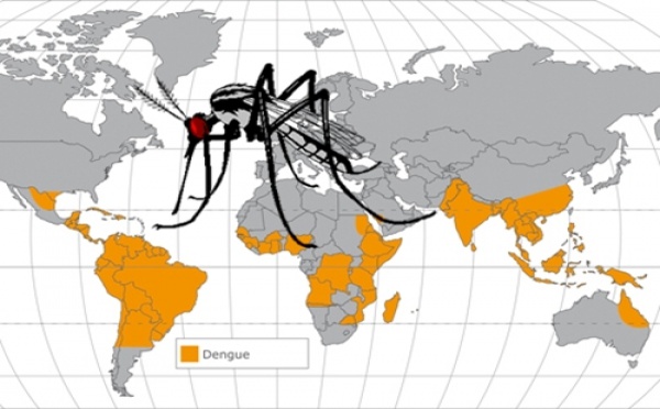 FAQ the dengue : que dire à vos clients à propos du virus ?