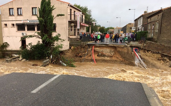 La case de l’Oncle Dom : il n'y a plus de saison, tout fout le camp... dans l'Aude !