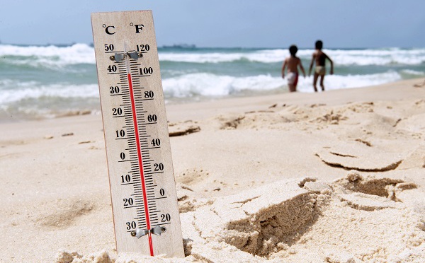 La case de l’Oncle Dom : TUI France pas rentable ?  La faute à la canicule !