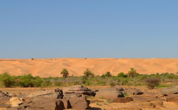 Mauritanie : Point Afrique propose 3 voyages inédits avec Maurice Freund