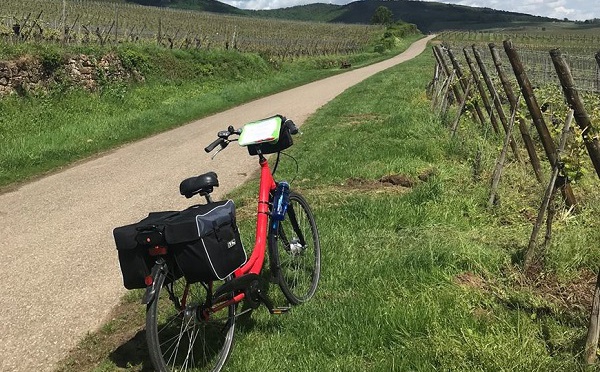 Parole de TO étranger "à Oslo, il n'y a plus d'agences de voyages physiques"