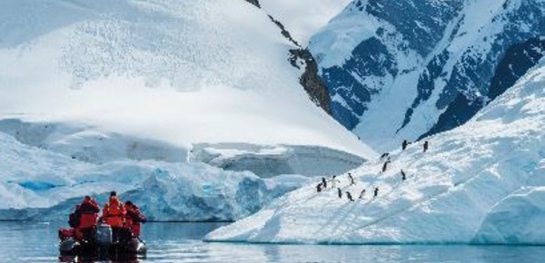 Antarctique : Ponant et National Geographic proposeront 3 nouveaux itinéraires