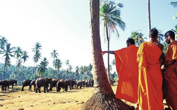 Sri Lanka : Jet tours rouvre la destination