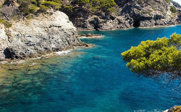 Porquerolles, une plongée au cœur d’un parc naturel