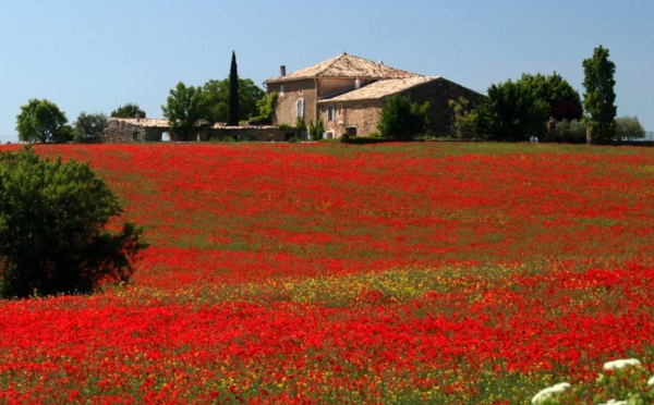 Gîtes de France vs Airbnb : "L’accueil, c’est notre ADN !"