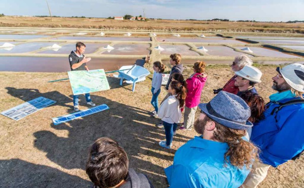 Palmes du Tourisme Durable : le Marais breton-vendéen mise sur ses valeurs écotouristiques