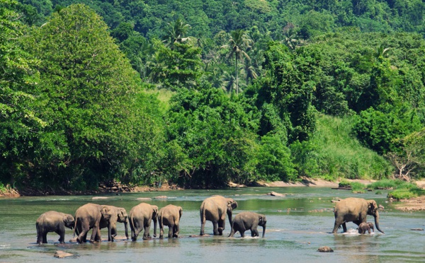 Formation des jeunes défavorisés : une première TUI Academy ouvre au Sri Lanka