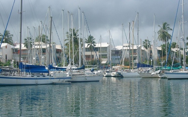 Croisières Caraïbes :  Guadeloupe et Martinique tirent bien leur épingle du jeu