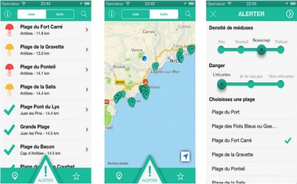 Méduses : une appli iPhone pour éviter les mauvaises surprises