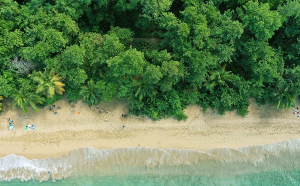 Antilles françaises : haute saison entre espoirs et incertitudes🔑