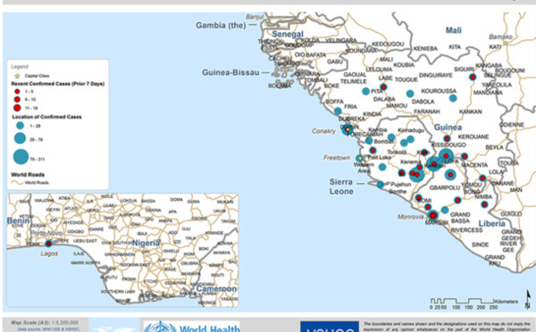 Ebola: the strategies of airline companies to face the epidemic