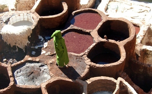 Au Maroc, tout est calme, luxe et volubilis… sans fous poilis !