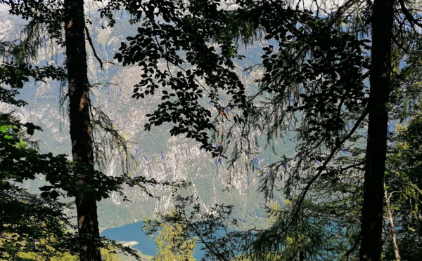 Slovénie : une nature préservée, plébiscitée par les Français 🔑