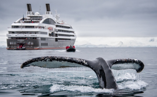 Ponant : pourquoi les agences de voyages sont les meilleures amies du croisiériste