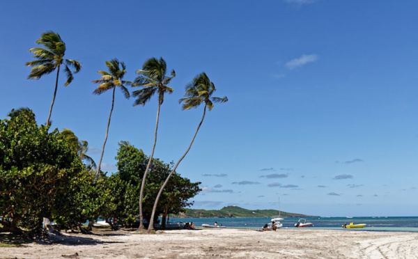 Que faire au Vauclin en Martinique ?