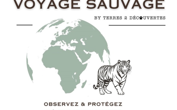 Voyage Sauvage : le nouveau TO de la cause animale 🔑