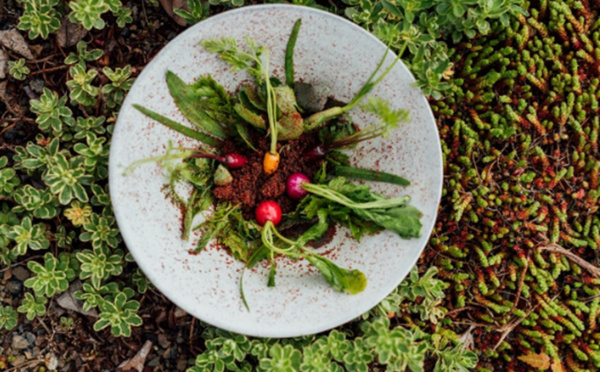 Bonne pour la santé, la cuisine à base de légumes a aussi moins d'impact sur l'environnement (©Relais & Châteaux)