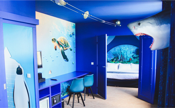 SEA LIFE et Explorers dévoilent une suite marine immersive - Photo : ©SEA LIFE / Explorers