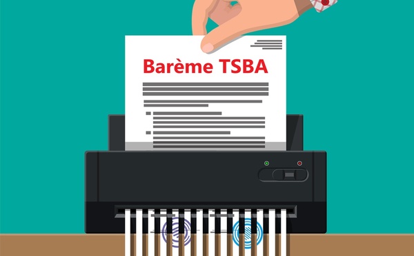 Un sous-amendement a été adopté au Sénat sur une révision de la taxe de solidarité sur les billets d'avion (TSBA) - Depositphotos @abscent