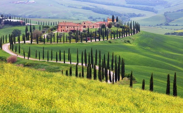 L'Italie (ici, un paysage en Toscane) fait partie des pays ciblés pour son développement par Domaines des Fontenille. Déjà, l'ouverture d'un hôtel à Radda-in-Chianti l'a fait connaître de la clientèle internationale (© Deposit Photos)