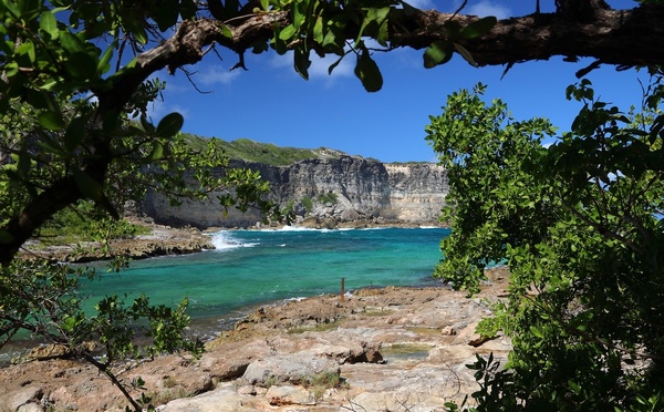 Les Îles de Guadeloupe séduisent le marché germanophone - Photo : Depositphotos.com @ tupungato 