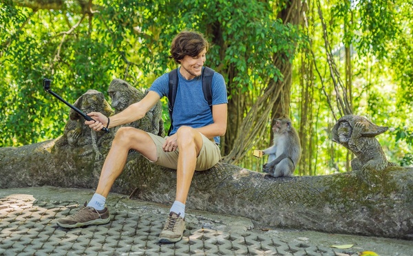 La multiplication des attaques d'animaux sauvages contre des voyageurs illustrent l’inconscience des touristes, leur manque total de connaissance du monde animal et, disons-le, leur indiscipline et leur sottise - DepositPhotos.com, galitskaya