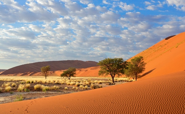 Voyage en Namibie : nouvelles formalités d'entrée le 1er avril, voici ce qui change !