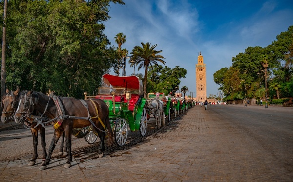 Futuroscopie - Tourisme et Coupe du monde de foot : les grandes ambitions du Maroc [ABO]