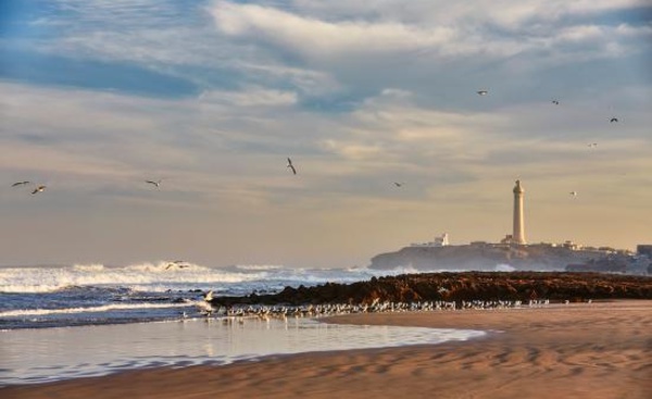 Casablanca : Four Seasons ouvre son 2ème hôtel au Maroc