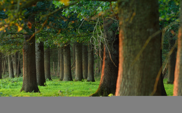 Center-Val de Loire: Discover the Loire river and its region by bike