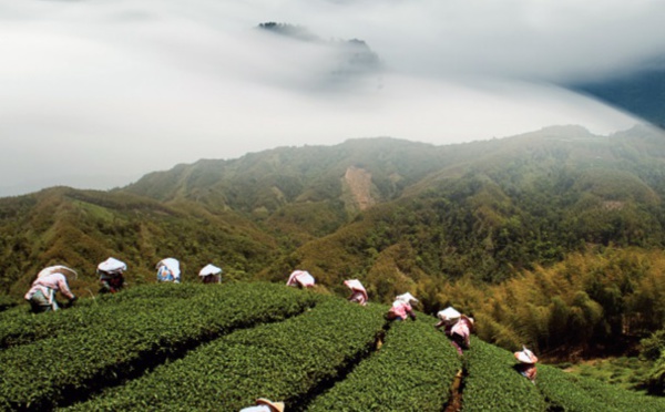 La Maison de la Chine récompensée par l'ONT de Taiwan