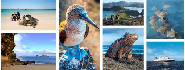 Galapagos : Celebrity Cruises rachète le TO Ocean Adventures